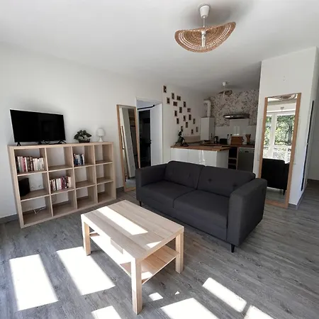 Vue Sur Les Bois